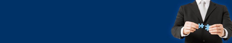 logo of the company