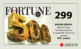 Fortune 500 2019